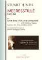 MEERESSTILLE for SATB choir with Overtone Singing SATB choral sheet music cover